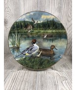 THE PINTAIL Plate Living With Nature: Jerner&#39;s Ducks Bart Jerner Knowles... - £7.78 GBP