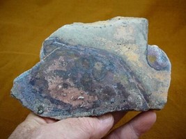 (DF-376-13) 14 oz Fossil REAL DINOSAUR Bone cabbing slab lapidary I love dinos - £68.00 GBP