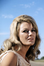 Sheree North 1970&#39;s Portrait Charley Varrick 24x18 Poster - £19.17 GBP