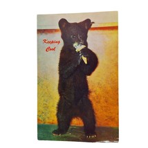 Postcard Keeping Cool Black Bear Cub Eating Ice Cream Chrome Unposted - £7.23 GBP