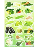 Vegetable Food Vegan Craft Kids Kindergarten Sticker 27x18cm/10x7&quot; D106 - $4.99