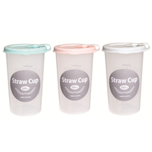 KOKUBO Straw Drink Water Cup 0.5 qt (500ml) Bottle Peach / Mint / Ice - £20.70 GBP