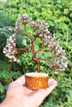 Multi Fluorite Crystal Tree | Copper Wire Bonsai for Focus &amp; Clarity  St... - $39.59+