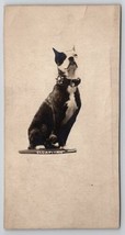 RPPC American Pit Bull Terrier Studded Spiked Collar Trimmed Photo Postcard S27 - £119.84 GBP