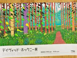 Hockney, A Tokyo - Manifesto Originale Esposizione - 51cm x 36cm - Molto... - £212.62 GBP