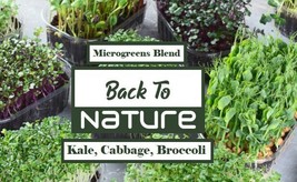 Kale, Cabbage, Broccoli Microgreen Seed Blend - Organic Seeds - Non Gmo ... - £3.22 GBP