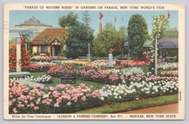 Postcard 1939-1940 New York World&#39;s Fair Parade Of Modern Roses Jackson Perkins - £4.97 GBP