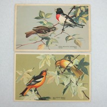 Vintage 1939 National Wildlife Bird Postcards Lot 2 Grosbeak &amp; Bullock&#39;s Oriole - £11.91 GBP
