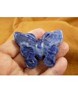 (Y-BUT-721) little Blue sodalite BUTTERFLY figurine gemstone love butter... - $444.00 MXN