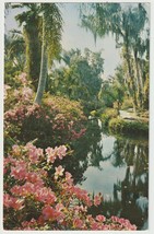 Cypress Gardens Florida Vintage Postcard Unposted - £3.65 GBP