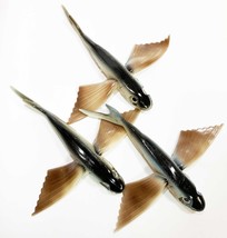 Flying Fish Big Game Trolling Lures 10&quot; Natural Color Package of 3 - $32.49