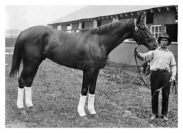 Man O War Champion Thoroughbred Race Horse 1920 5X7 Photo - £6.70 GBP