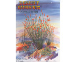 Ocotillo Seeds Fouquieria splendens - Packet of 12 Seeds - £6.70 GBP