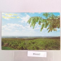 50 Mile View Mt Pocahontas Inc Poconos Albrightsville PA 1960s Postcard ... - $146.84 MXN