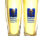 2 Augustiner Brau Munich Helles 0.5L German Beer Glasses - £19.57 GBP