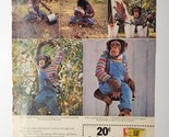 Borateem Plus Daisy The Monkey Business Painting Smoking Overalls 1976 P... - $14.84