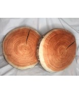 Target Bullseye&#39;s Playground Set Of 2 Log Plush Pillows Brown 11&quot;x11&quot; New!! - £18.30 GBP