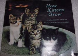 How Kittens Grow by Millicent Selsam Paper Back - £3.89 GBP