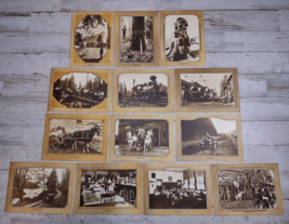 Lot of 13 The Way It Was Vintage Photo Oregon Postcards Train Redwood Sc... - £14.36 GBP