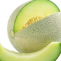 Honeydew Green Melon Heirloom Melon Fresh Garden Bulk Seeds - $172.69 MXN