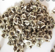 Organic Moringa Seeds100gm - $227.12 MXN