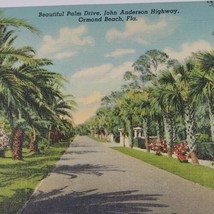 Beautiful Palm Drive John Anderson Highway Ormond Beach Florida Postcard FL - £2.62 GBP