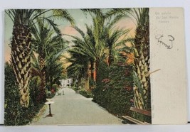San Remo Palms c1905 Italy Postcard I4 - £7.82 GBP