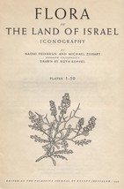 Flora of The Land of Israel (1949) Feinbrun/Zohary/Koppel, 50 cards w/o book - £32.17 GBP