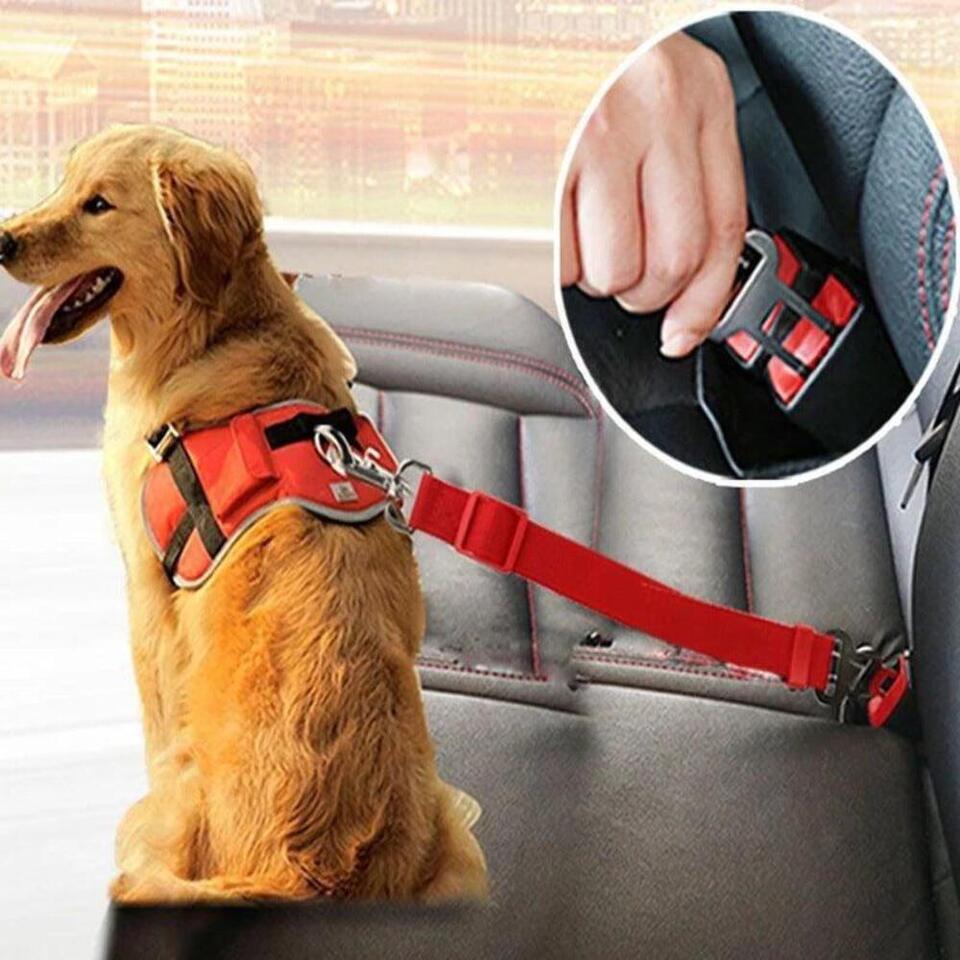 Adjustable Car Seat Pet Traction Harness - $6.22+