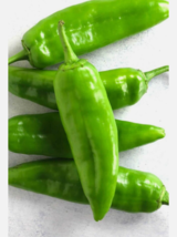 Easy To Grow Seed - 50 Seeds Chili Pepper Guizeppi - £3.18 GBP
