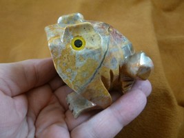 (Y-FRO-400) tan gray FROG frogs carving stone gemstone SOAPSTONE PERU am... - $17.53