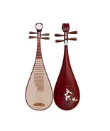 Pipa African rosewood material Professional performance Chinese string i... - $11,026.11 MXN