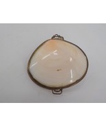 HAWAIIAN POLISHED WHITE &amp; PINK SHELL COIN PURSE DISPLAY POLYNESIAN ETHNI... - $19.99