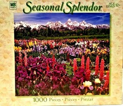 Seasonal Splender Puzzle Grand Tetons 1000 piece 22 9/32&quot; x 25 9/16&quot; - £4.74 GBP