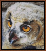 Eagle Owl Baby ~~ counted cross stitch pattern PDF - £12.77 GBP