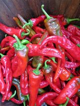 Item image 1 image 1