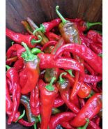 Alcalde Chile - from the banks of the Northern Rio Grande - $5.25