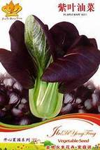 Purple Rape Seeds Non-Gmo Heirloom Organic Vegetables NF265  - £7.90 GBP