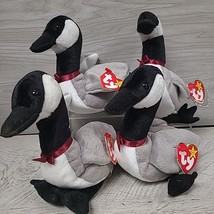 TY Beanie Baby Loosy the Goose Lot of 4 Retired Stuffed Animal Toy NWT 1998 - £10.63 GBP