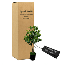 Elegant 3&#39; Bay Olive Leaf Topiary In Home Basics Pot - £86.70 GBP