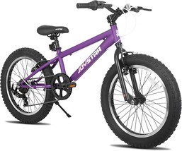 20-Inch Fat Tire Kids Bike With 7-Speed Shimano Drivetrain And 20-Inch Wheels, - £259.75 GBP