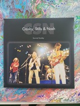 Survival Sunday: 1980  * by Crosby, Stills &amp; Nash (CSNY, CSN). 2 LP Vinyl - £23.25 GBP