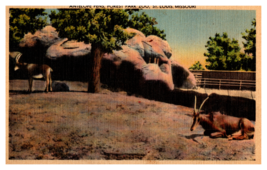 Antelope Pens Forest Park Zoo St. Louis Missouri White Border Linen Postcard - £3.06 GBP