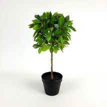 IKEA FEJKA Artificial Potted Plant Weeping Fig Stem 17" 003.953.08 - $33.99
