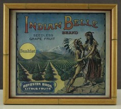 Vintage Paper Food Fruit Advertising Label INDIAN BELLE Sunkist BOYOSTON... - $45.05
