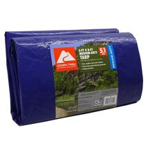 Medium-Duty Tarpaulin, 6’ X 8’, Material PE - $19.64