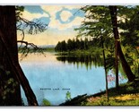 Eagle Nest Lake and Dam New Mexico NM UNP Unused Linen Postcard H30 - £3.11 GBP