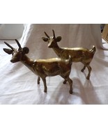 Vintage Brass Pair of Short-Horned Deer - €45,59 EUR