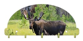 Bull Moose Key Rack 5 Hook Metal Wall Art Lodge USA Made - £19.35 GBP