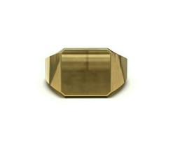 14K Oro Anillo con Sello Hombre Meñique Anillo con Sello Hombre Oro Pesado - £1,025.49 GBP+